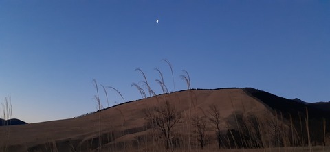 251-232(40-37)伽藍岳ゲリラキャン303_063547