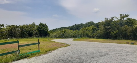 266-247(3-3)天空の杜601_120003