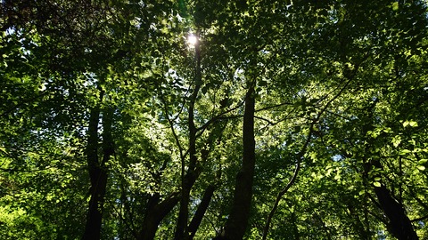 114-99(13-13)9.BASE 491