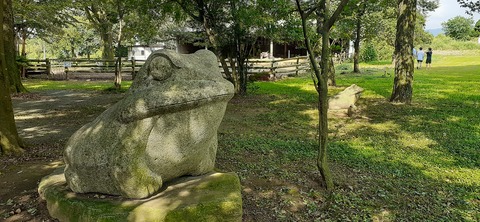 229-212(18-17)竹原牧場916_145350