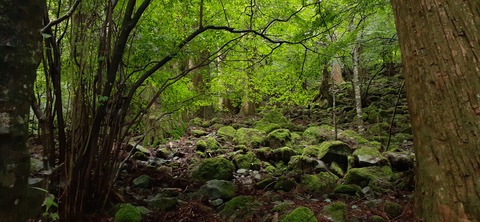 168-153(10-10)英彦山登山731_093933