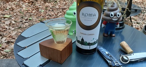 144-129(43-43)スゼンジハウスオープンエア26_131338