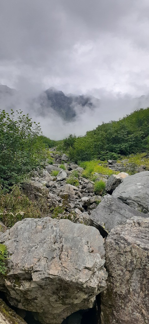 272-252(9-8) 上高地穂高岳814_104623