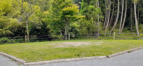 216-200(5-5)山鳥の森623_132048