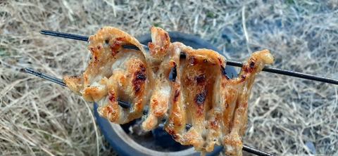 251-232(40-37)伽藍岳ゲリラキャン302_170109