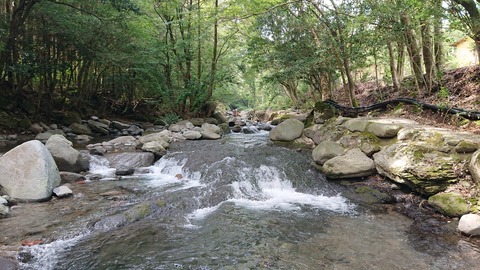 61-50(16-14)郭公の郷キャンプ場666S