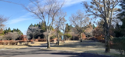 240-223(29-28)ひなもりキャンプ場1124_141551