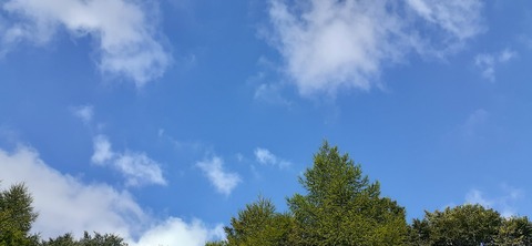 223-206(12-11)四季見原すこやかの森②815_155035