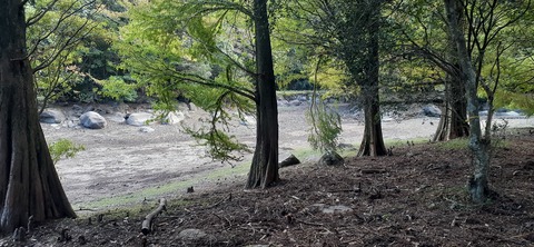 234-217(23-22)広川原キャンプ場1028_131050