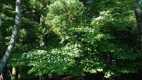 105-90(4-4)福岡某所579