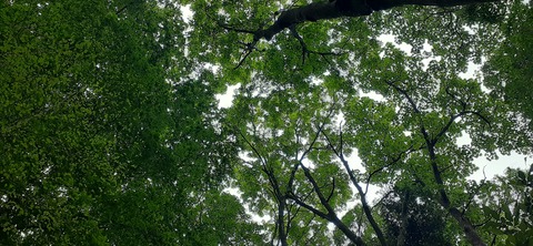 266-247(3-3)天空の杜602_072730