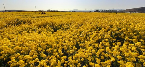 200-184(42-41)糸根地区公園キャンプ場319_155328