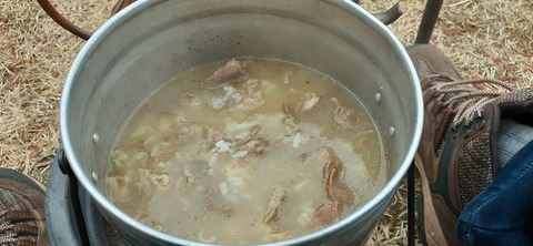 141-126(40-40)ゴンドーシャロレー12_080100