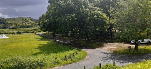 163-148(5-5)津志田河川自然公園6_104538R