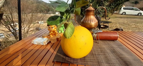 137-122(36-36)とりごえ温泉栖の宿9_142119