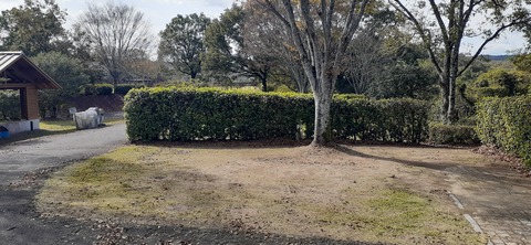 237-220(26-25)るるパーク1111_121808