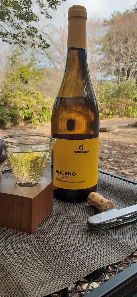 133-118(32-32)中ノ島公園131717