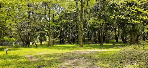 206-190(48-47)吉無田高原緑の村430_135820