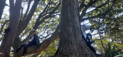 251-232(40-37)大坂山障子ヶ岳218_123504