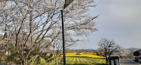 203-187(45-44)長崎鼻リゾートキャンプ場401_163547