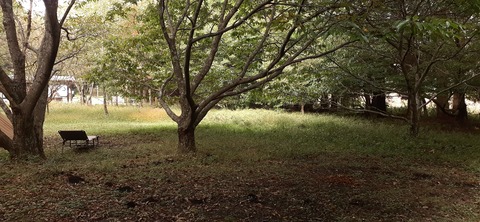 233-216(22-21)9.BASE1014_144828