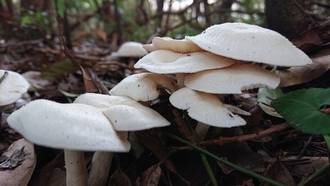 16-13華山ゲリラキャンプ514