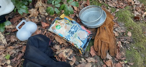 251-232(40-37)伽藍岳ゲリラキャン303_093139