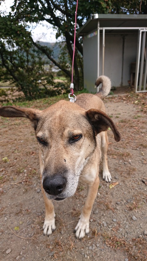 123-108(22-22)カナディアンビレッジ991