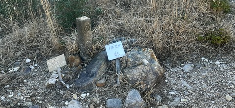 251-232(40-37)伽藍岳ゲリラキャン303_092724