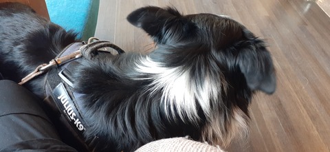 182-166(24-23)長湯きらりキャンプ場1105_124243