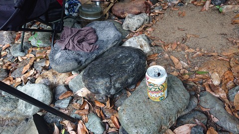 55-44(10-8)カワセミ公園991S