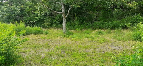 167-152(9-9)久住星群れキャンプ場723_122906