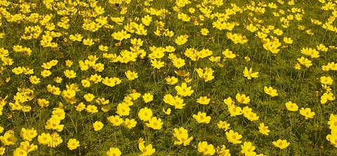 237-220(26-25)るるパーク1111_132304