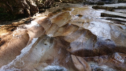 68-55(23-19)藤河内渓谷キャンプ場236S