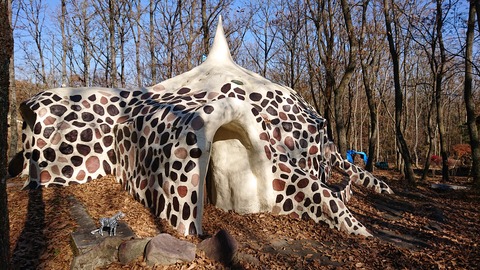 126-111(25-25)CAMP✕WOODS385