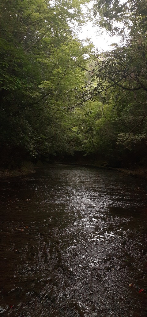 268-248(5-4)岳切渓谷キャンプ場615_150641