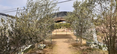 190-174(32-31)たまなフラワーパーク107_141041