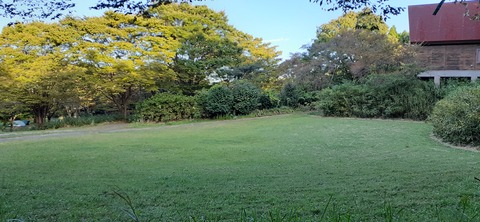 176-161(18-18)坊中野営場1008_164108