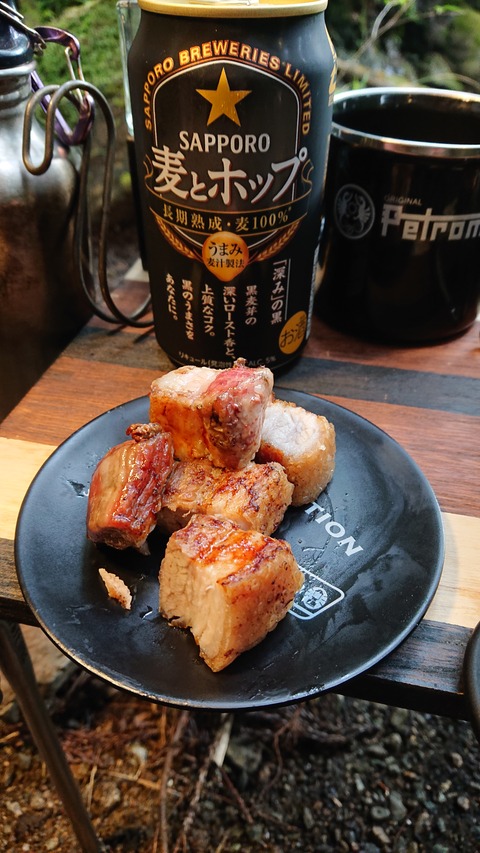 104-89(3-3)八木山渓流公園481