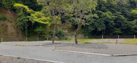 216-200(5-5)山鳥の森623_131316