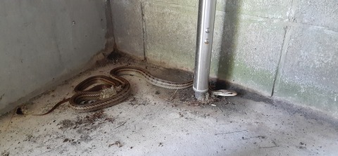 164-149(6-6)長野山緑地公園702_112434