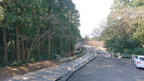 88-74(43-38)昭和の森一本松サイト870