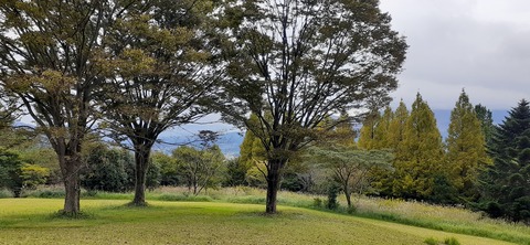 177-162(19-19)HGP南阿蘇OSCAMP1009_123033