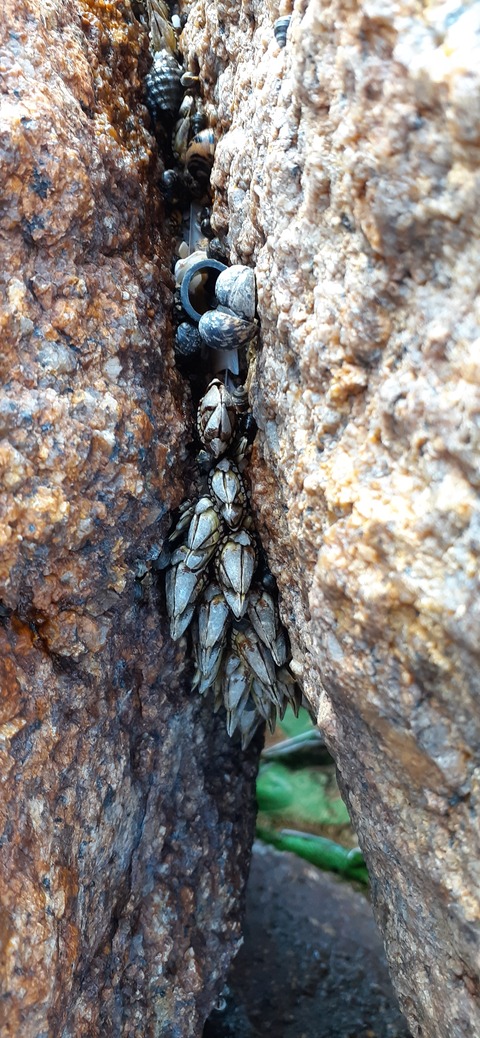 198-182(40-39)キワラビーチ225_163249