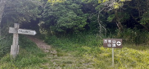 268-248(5-4)万年山616_091626