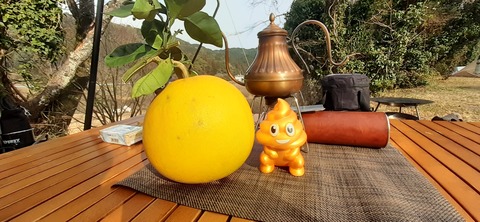 137-122(36-36)とりごえ温泉栖の宿9_142148