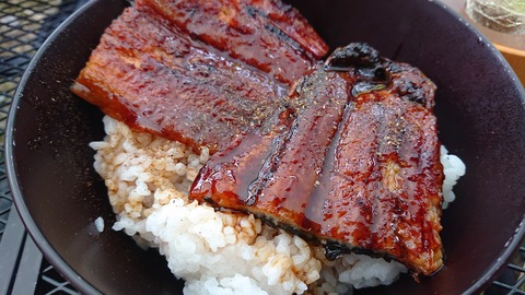 109-94(8-8)背振山キャンプ場850