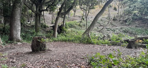 213-197(2-2)レムブランベースC527_131529