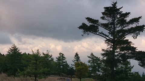 99-84(54-48)四季見原すこやかの森983