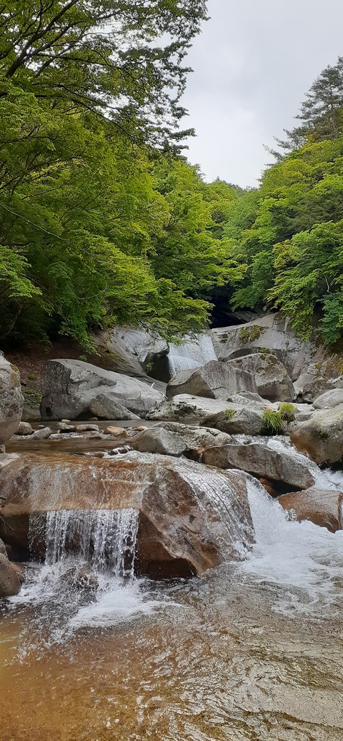 156-141(55-55)鹿川キャンプ場505_155600